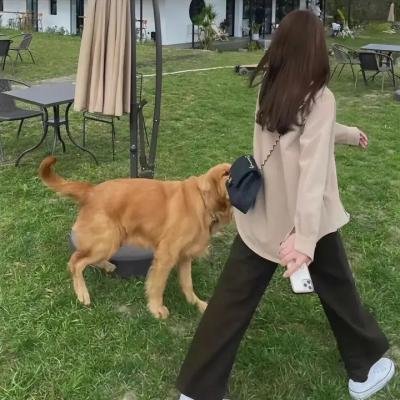 独生子女的婆婆妈妈